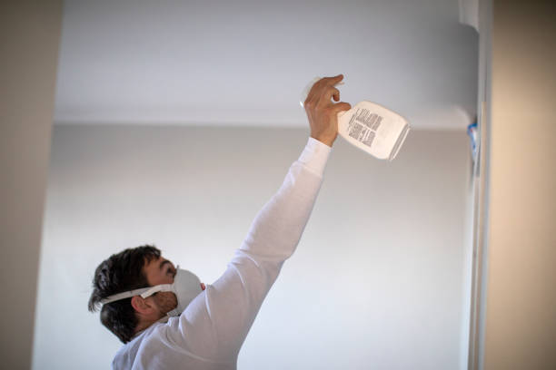 Best Mold Damage Repair  in Los Luceros, NM